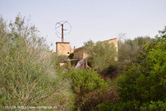 Gran finca con posibilidad de reformar vivienda. - BALEARES