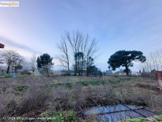 SE VENDE TERRENO RUSTICO EN TUDELA DE DUERO - VALLADOLID