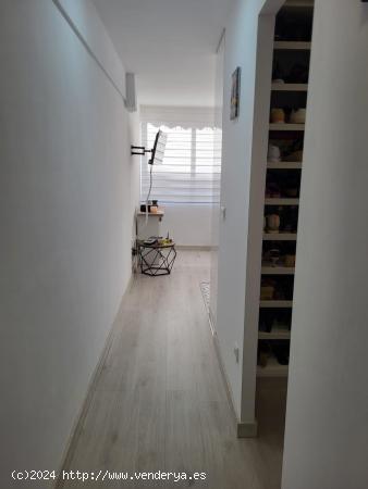 1 DORMITORIO REFORMADO CERCA AL CENTRO - ALICANTE