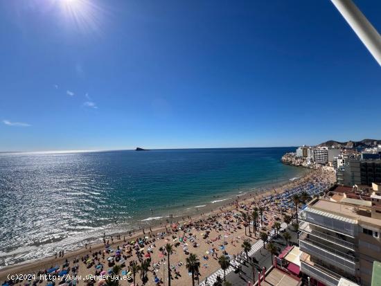  Piso en Benidorm  ( 1ª linea Levante) - ALICANTE 