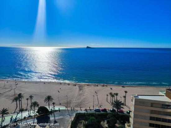  Gran piso de 2 dorm. en primera línea de Playa de Poniente - www.inmobiliarialesdunes.com - ALICANT 