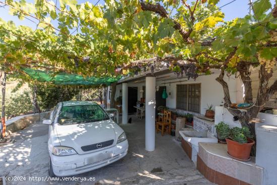  FINCA RÚSTICA CON CASA DE APEROS EN --GUEJAR SIERRA-GRANADA - GRANADA 