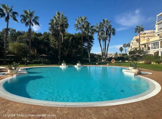 ALQUILER DE VIVIENDA ZONA ALICANTE GOLF - ALICANTE