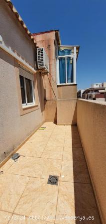 APARTAMENTO CÉNTRICO DE 2 DORMITORIOS CON PISCINA COMUNITARIA A 700 METROS DEL MAR - ZONA TORREVIEJ