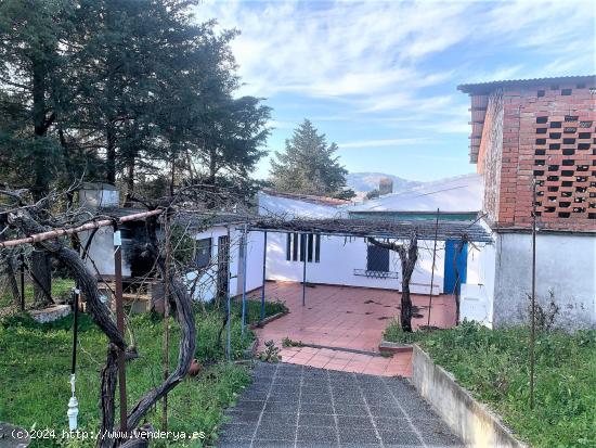 Finca con dos naves y una vivienda  en la carretera de jaraiz km 1  en Plasencia - CACERES