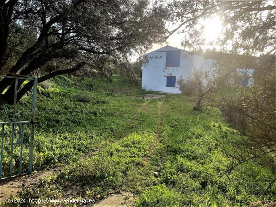 Finca con dos naves y una vivienda  en la carretera de jaraiz km 1  en Plasencia - CACERES