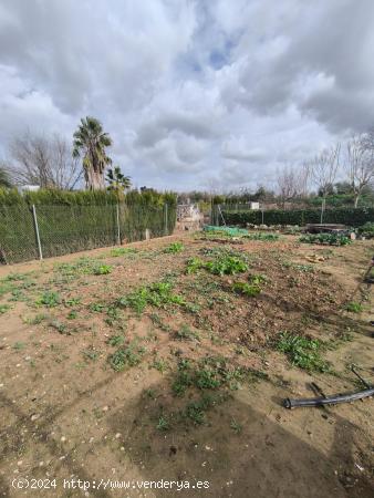 Conjunto de 3 parcelas - CORDOBA