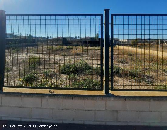 SOLAR VALLADO PARA VIVIENDA UNIFAMILIAR EN TORRE DEL OBISPO - MURCIA