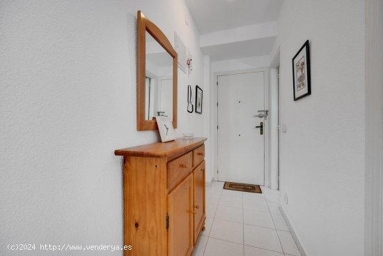 Apartamento en venta en Torrevieja (Alicante)