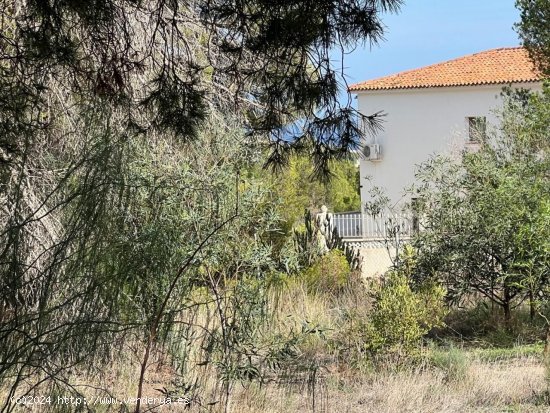 Parcela en venta en Carboneras (Almería)