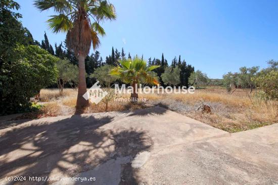 Se Vende en Muro - BALEARES