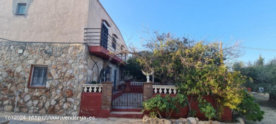  Finca en venta en L Ametlla de Mar (Tarragona) 