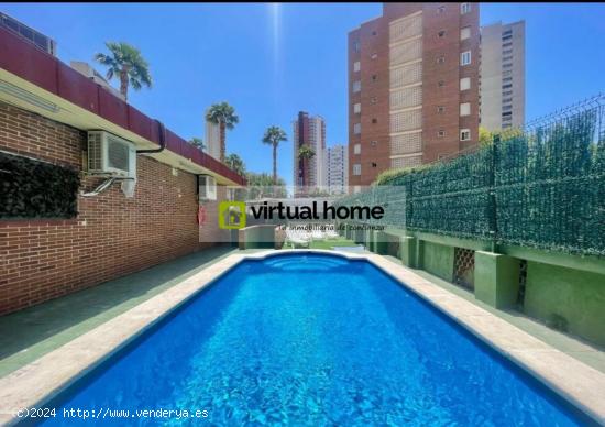  piso en venta en zona levante licencia turistica - ALICANTE 