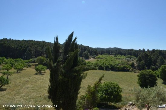 Finca en venta en Tivissa (Tarragona)