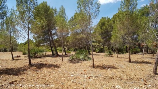 Parcela en venta en L Ametlla de Mar (Tarragona)