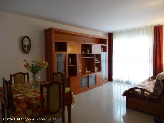 Apartamento en venta en L Ametlla de Mar (Tarragona)