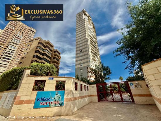 Piso de 2 habitaciones y 2 baños para alquiler anual. Exclusivas360 - ALICANTE