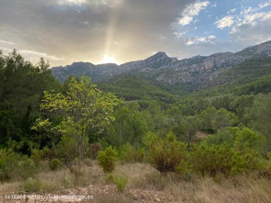 Finca Mas del Marraco con permisos para hacer un camping - TARRAGONA