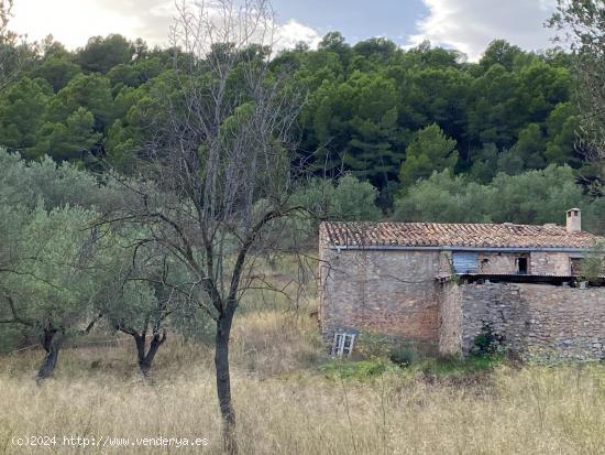 Finca Mas del Marraco con permisos para hacer un camping - TARRAGONA