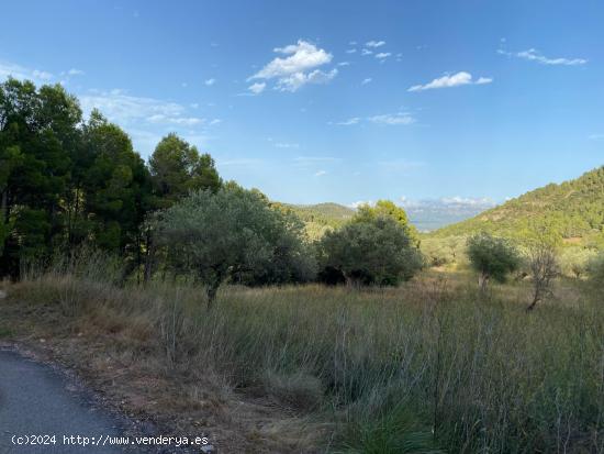 Finca Mas del Marraco con permisos para hacer un camping - TARRAGONA