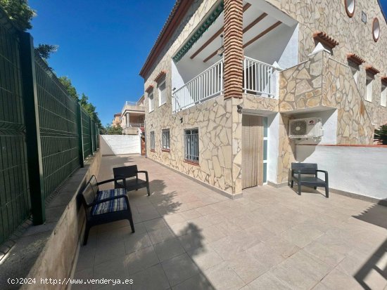  Apartamento en alquiler en Oliva (Valencia) 