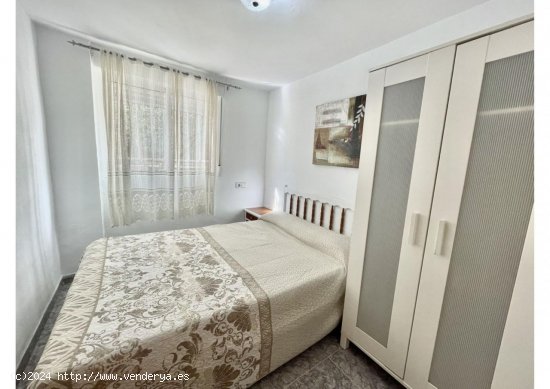 Apartamento en alquiler en Oliva (Valencia)