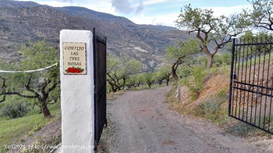  Cortijo ecologico con vistas al rio y piscina - GRANADA 