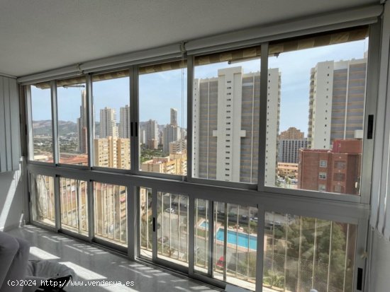 Apartamento en venta en Benidorm (Alicante)