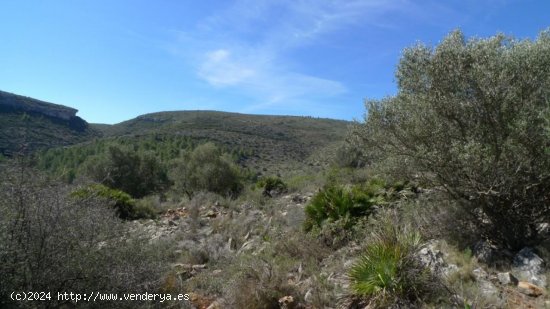 Parcela en venta en Benigembla (Alicante)