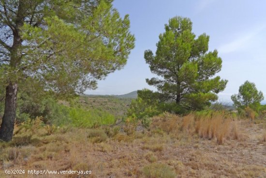 Local en venta en Jalón (Alicante)