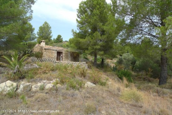 Local en venta en Jalón (Alicante)