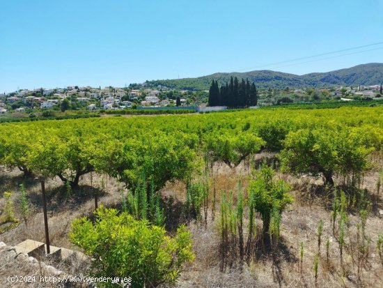 Parcela en venta en Orba (Alicante)