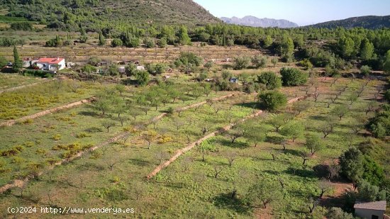  Parcela en venta en San Juan de Alicante (Alicante) 