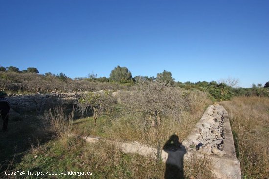 Parcela en venta en Benimeli (Alicante)