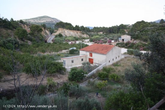 Finca en venta en Murla (Alicante)