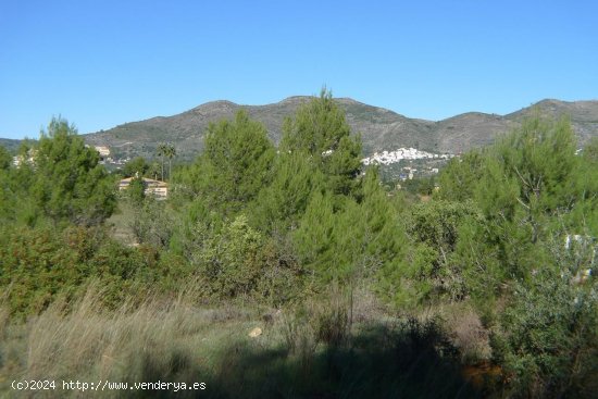  Parcela en venta en Jalón (Alicante) 