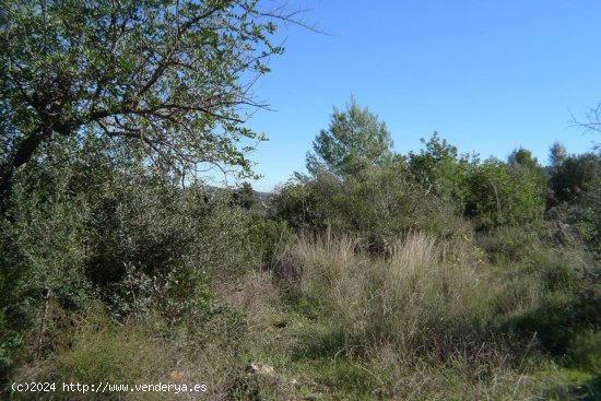 Parcela en venta en Jalón (Alicante)