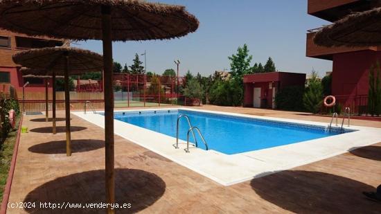 PISO EN CAMPUS DE LA SALUD - GRANADA