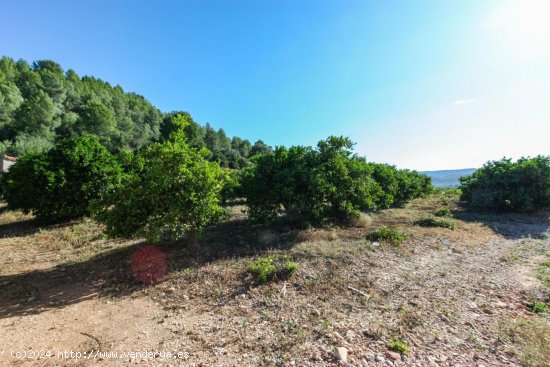 Parcela en venta en Sagra (Alicante)