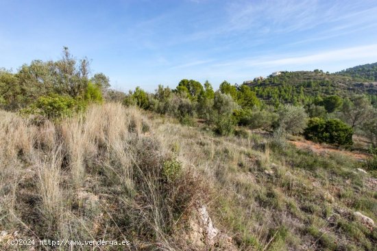 Parcela en venta en Orba (Alicante)