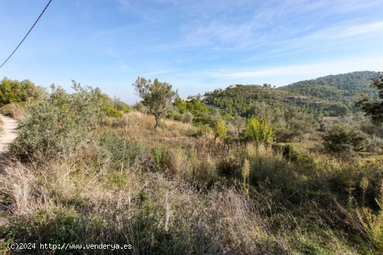 Parcela en venta en Orba (Alicante)