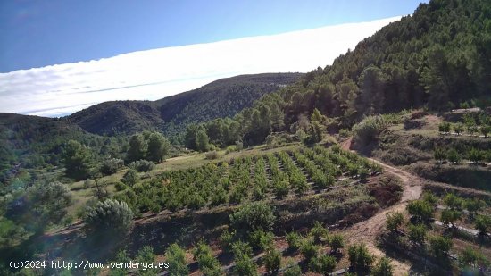 Parcela en venta en Orba (Alicante)