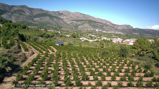 Parcela en venta en Orba (Alicante)