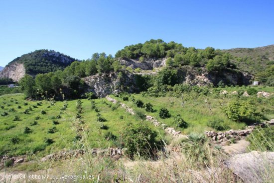 Parcela en venta en Pego (Alicante)