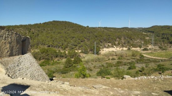 Finca en venta en Vilalba dels Arcs (Tarragona)