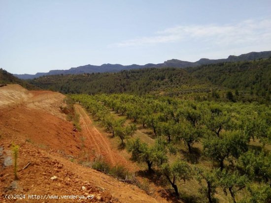 Finca en venta en Tivissa (Tarragona)