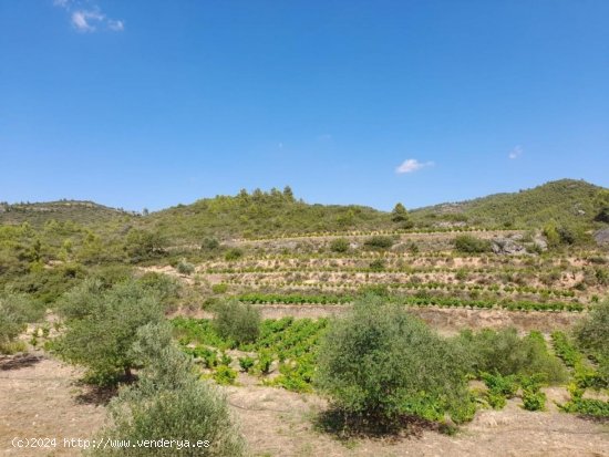 Finca en venta en Tarragona (Tarragona)