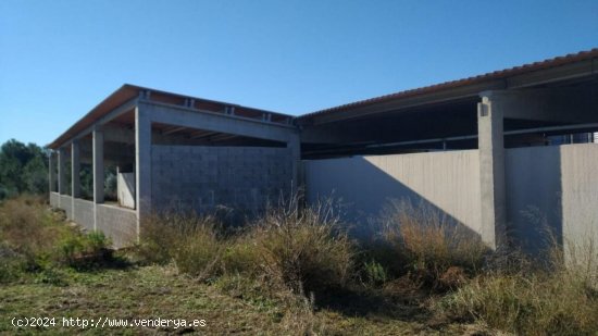 Finca en venta en Tivissa (Tarragona)