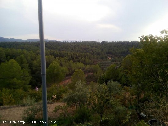 Finca en venta en Tivissa (Tarragona)