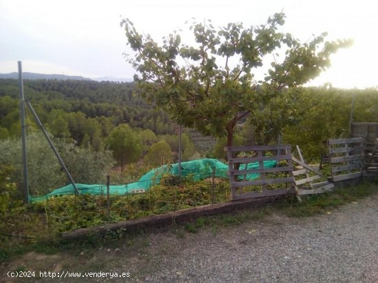 Finca en venta en Tivissa (Tarragona)